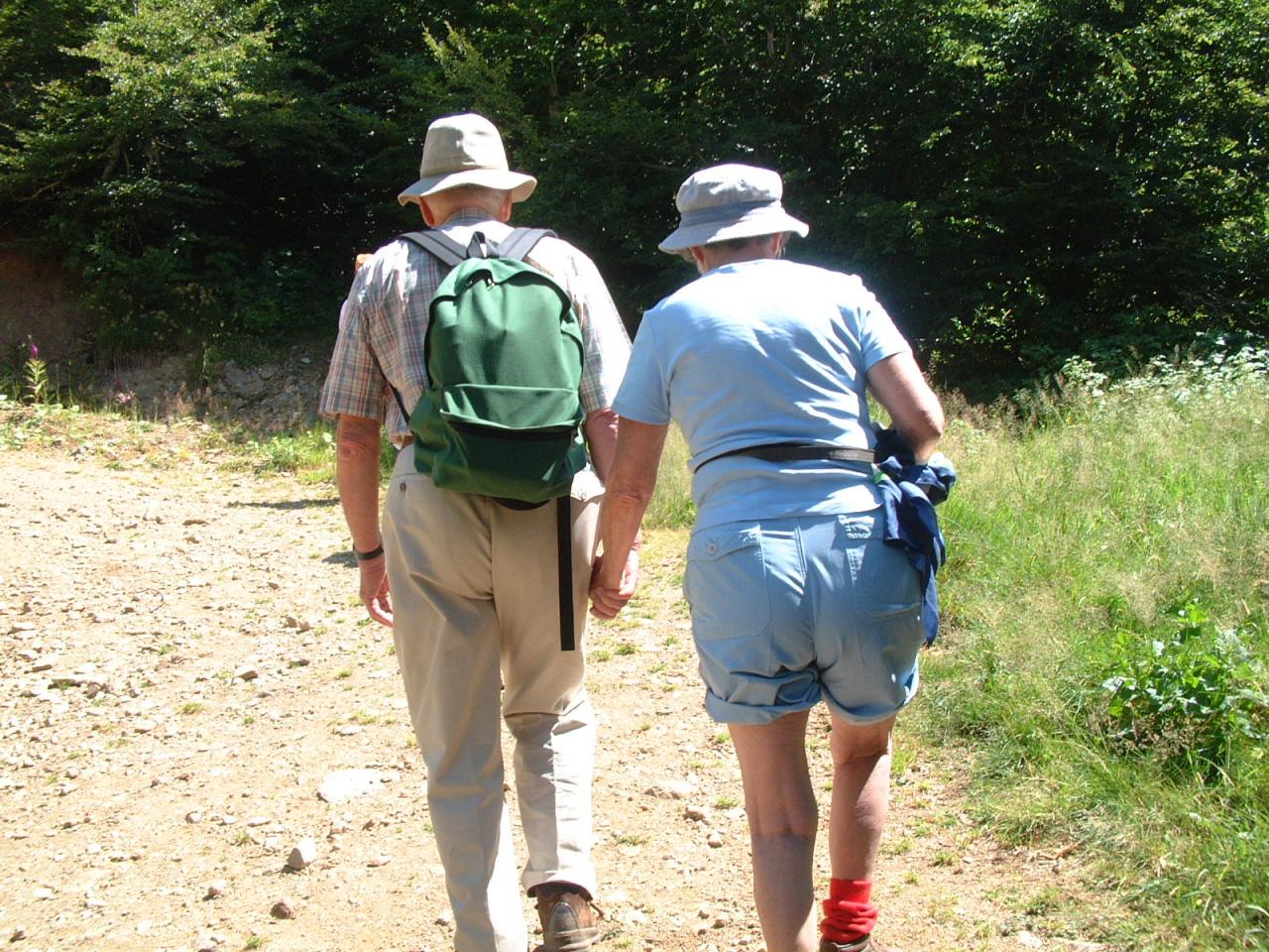 Quelque part dans les Pyrénées 